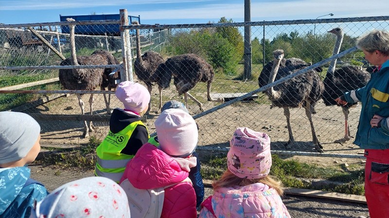 Sovičky na pštrosí farmě a u Stříbrného jezírka