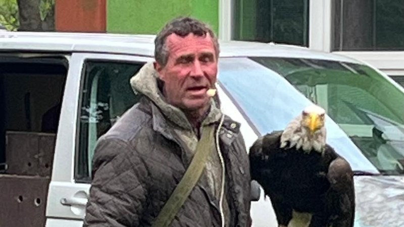 Dravci v atriu školy