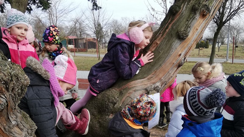 Jarní putování se zajícem