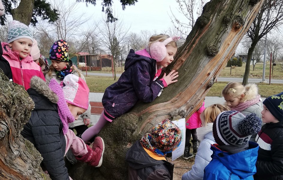 Jarní putování se zajícem - zvětšit obrázek