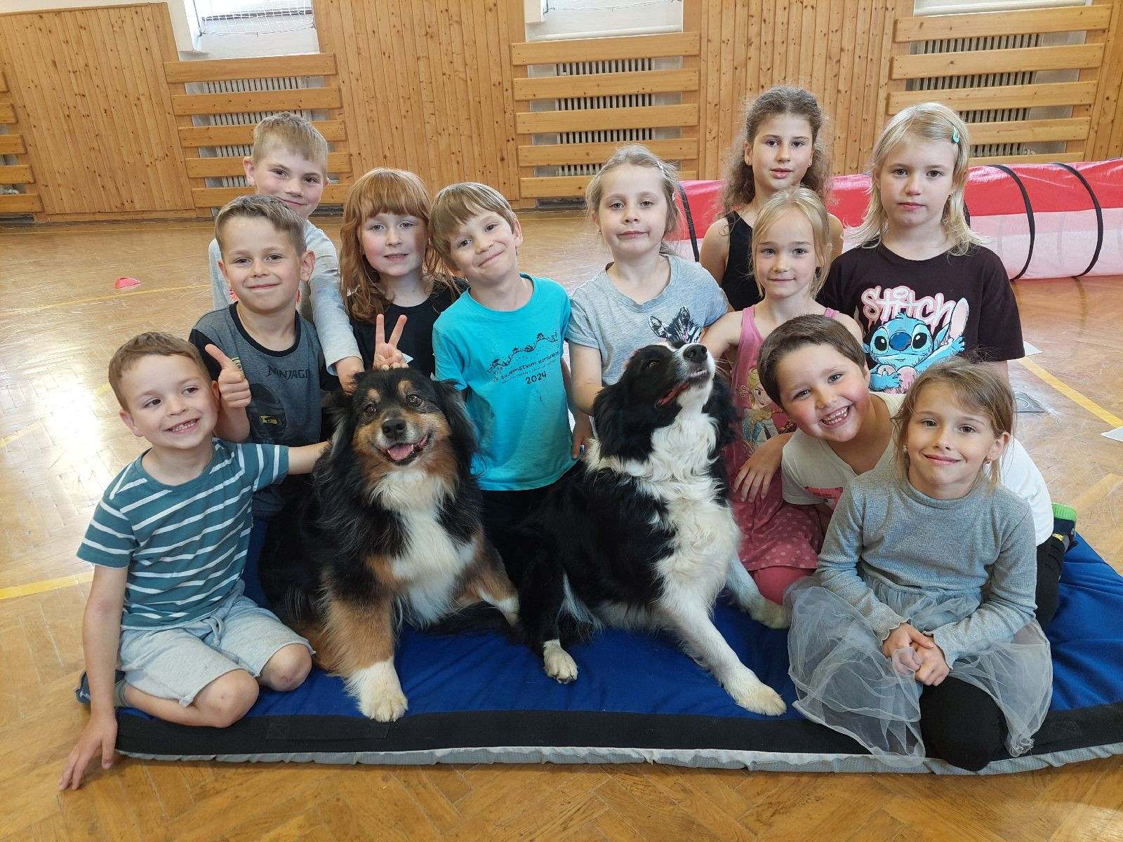Čtyřnozí kamarády ve třídě Soviček