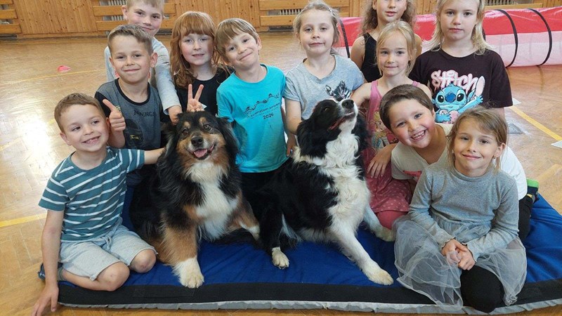 Čtyřnozí kamarády ve třídě Soviček