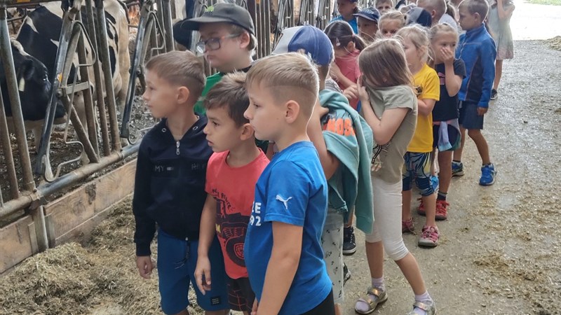 Žáci 1. A, B a 2. A na návštěvě u telátek